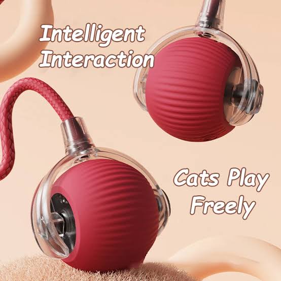 PlayRoll — Auto-Rolling Cat Ball